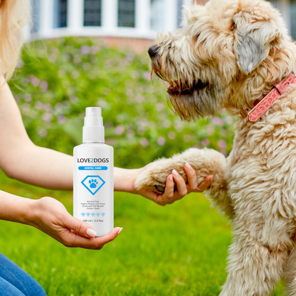 alcohol free dog dental spray