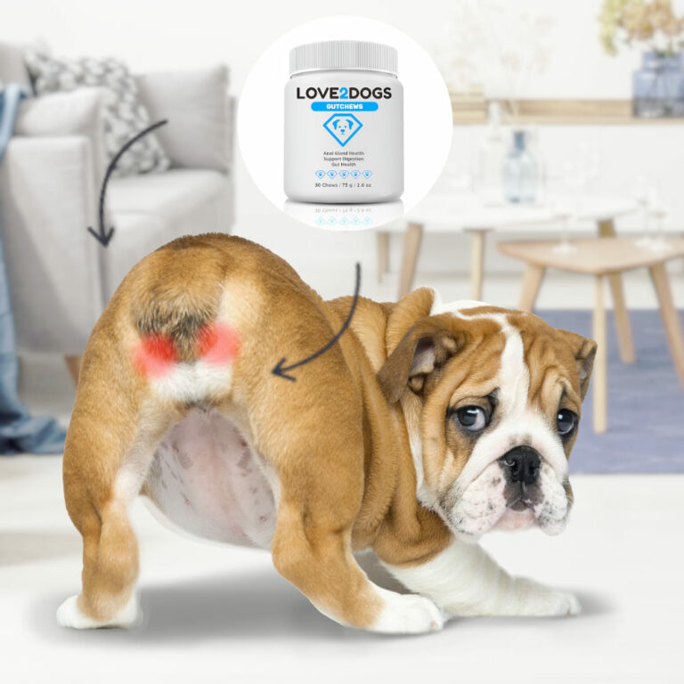 Love2Dogs Gutchews - Healthy Anal Glands for Your Dog - Anal Gland Health Tips For Traveling Dogs Advice